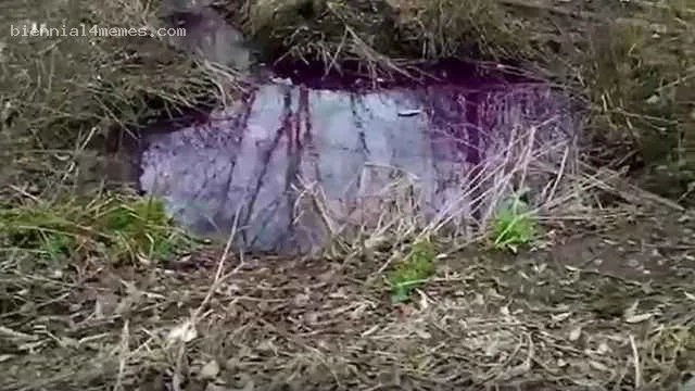 Дворы и дома жителей Златоуста затопило тухлым борщом