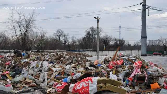 
								Путин обвинил правительство в провале проекта строительства мусорных заводов			