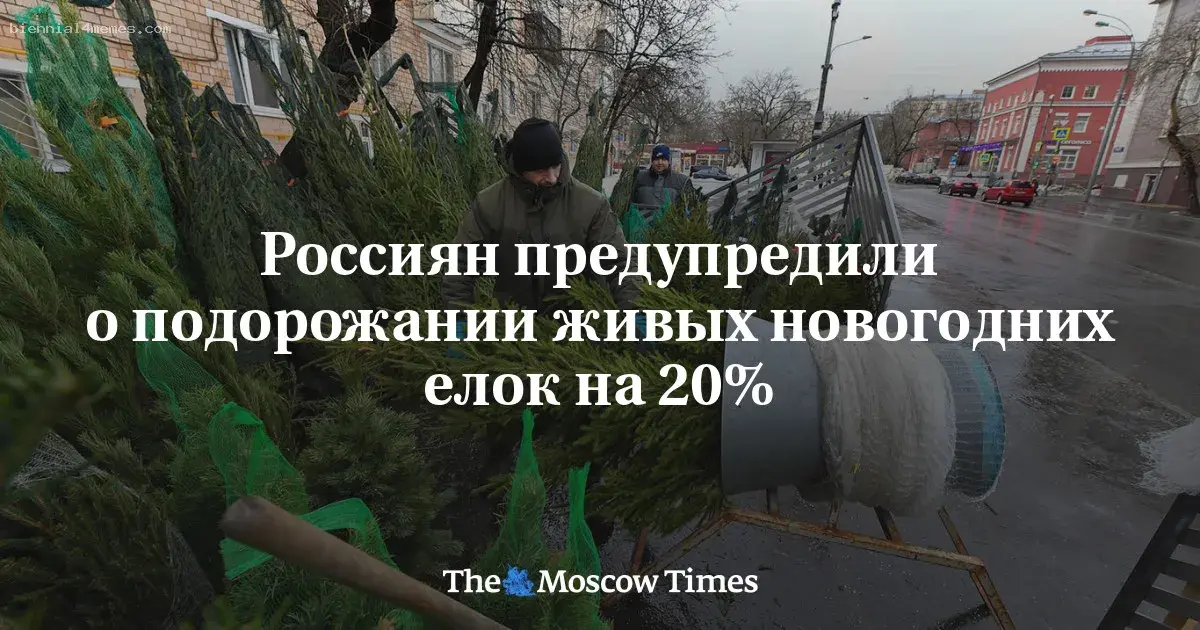 
								Россиян предупредили о подорожании живых новогодних елок на 20%			
