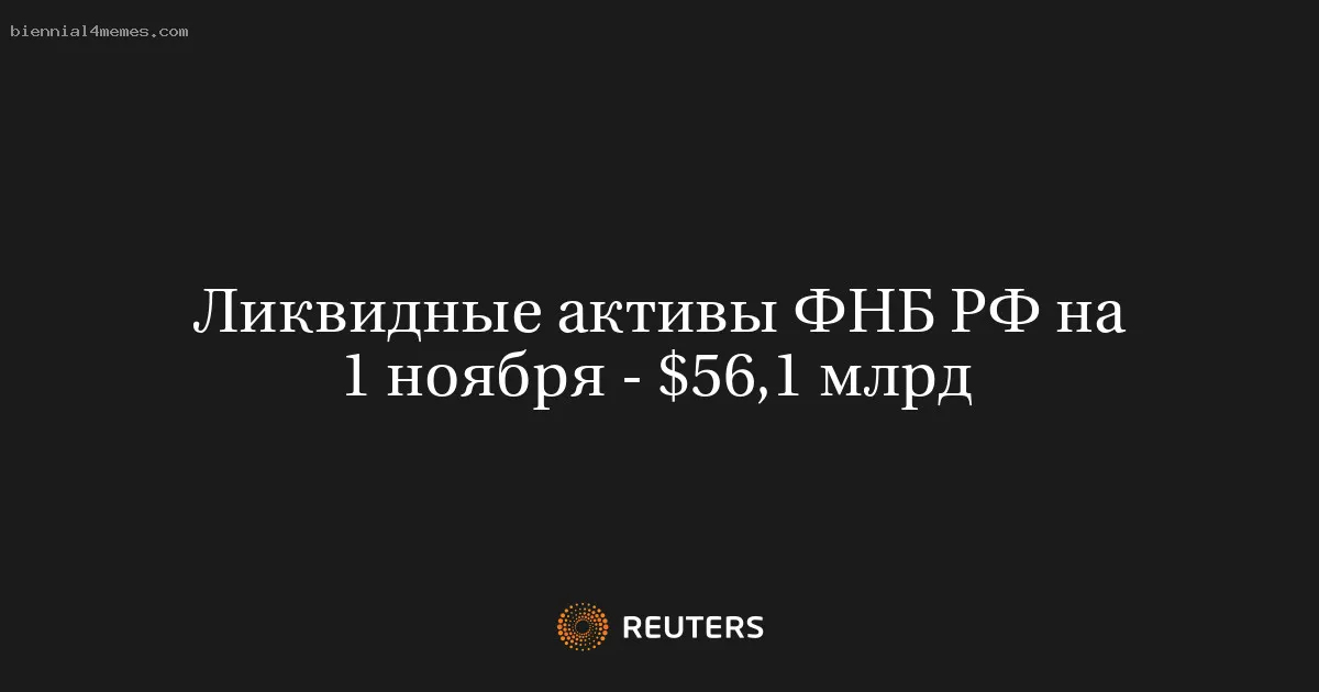 
								Ликвидные активы ФНБ РФ на 1 ноября - $56,1 млрд			