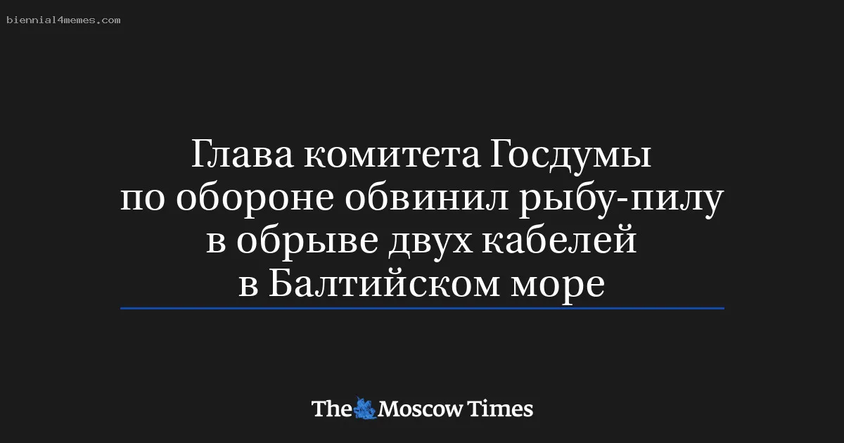 Глава комитета Госдумы по обороне обвинил рыбу-пилу в обрыве двух кабелей в Балтийском море