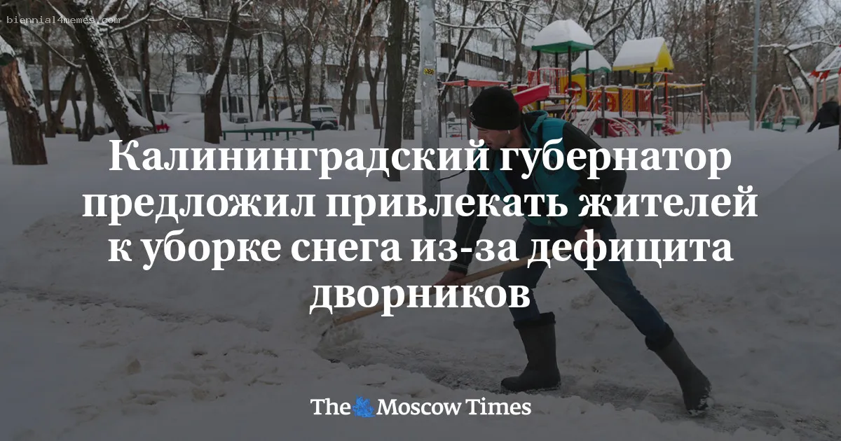 Калининградский губернатор предложил привлекать жителей к уборке снега из-за дефицита дворников
