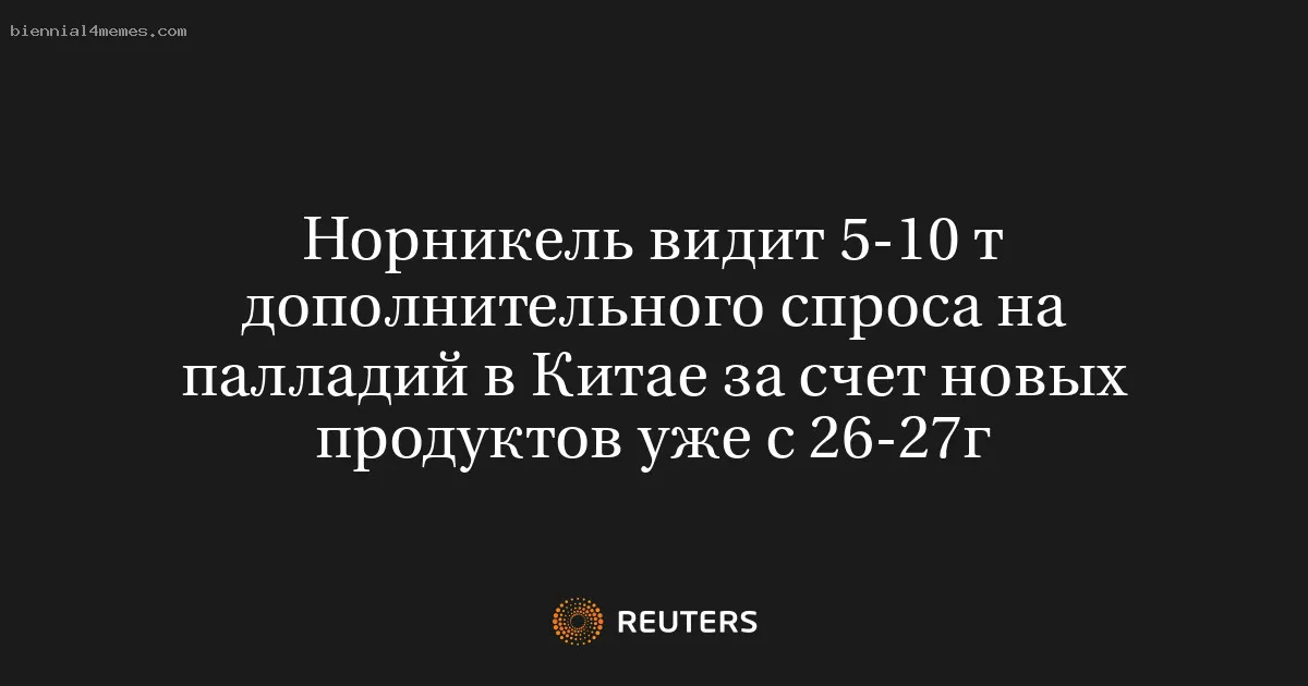 
								Норникель видит 5-10 т дополнительного спроса на палладий в Китае за счет новых продуктов уже с 26-27г			