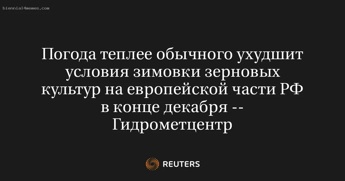 Погода теплее обычного ухудшит условия зимовки зерновых культур на европейской части РФ в конце декабря -- Гидрометцентр