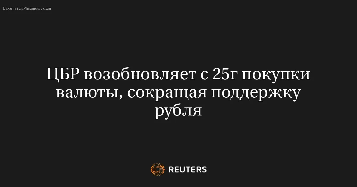 
								ЦБР возобновляет с 25г покупки валюты, сокращая поддержку рубля			