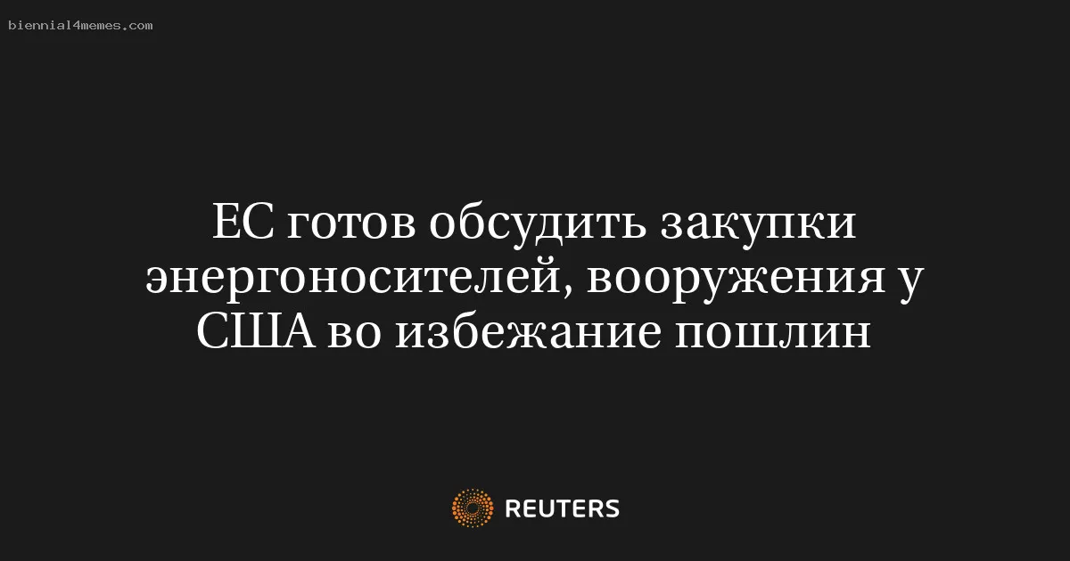 ЕС готов обсудить закупки энергоносителей, вооружения у США во избежание пошлин