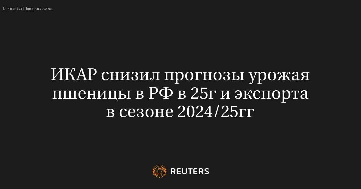 ИКАР снизил прогнозы урожая пшеницы в РФ в 25г и экспорта в сезоне 2024/25гг