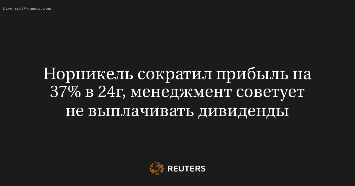 Норникель сократил прибыль на 37% в 24г, менеджмент советует не выплачивать дивиденды