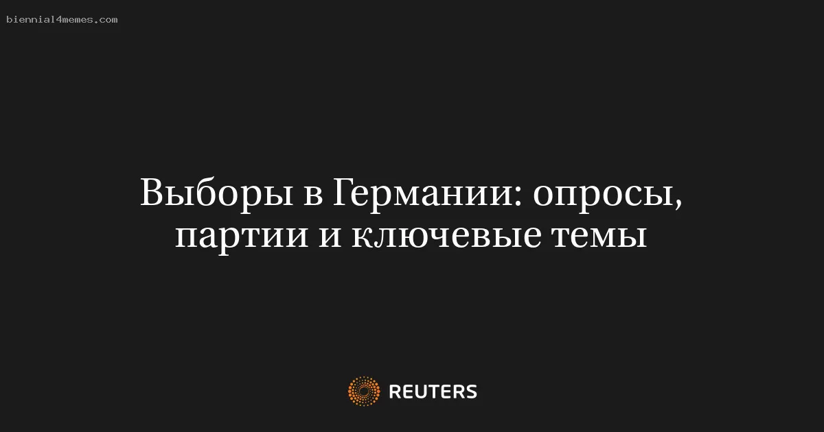 Выборы в Германии: опросы, партии и ключевые темы