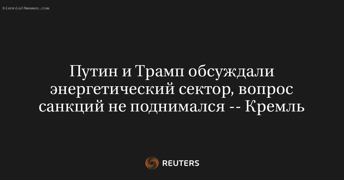 Путин и Трамп обсуждали энергетический сектор, вопрос санкций не поднимался -- Кремль
