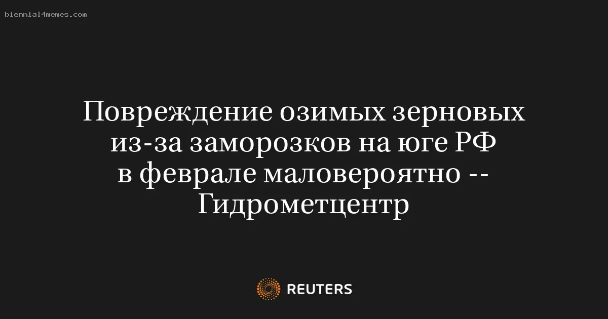 Повреждение озимых зерновых из-за заморозков на юге РФ в феврале маловероятно -- Гидрометцентр