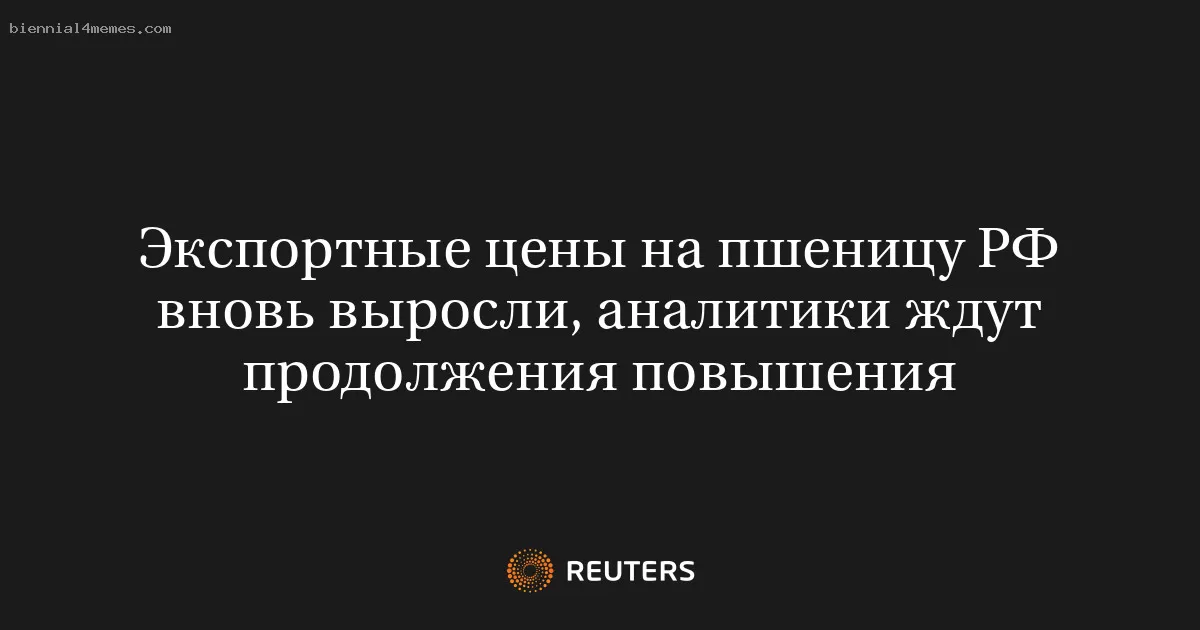 Экспортные цены на пшеницу РФ вновь выросли, аналитики ждут продолжения повышения