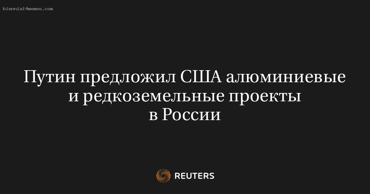 Путин предложил США алюминиевые и редкоземельные проекты в России