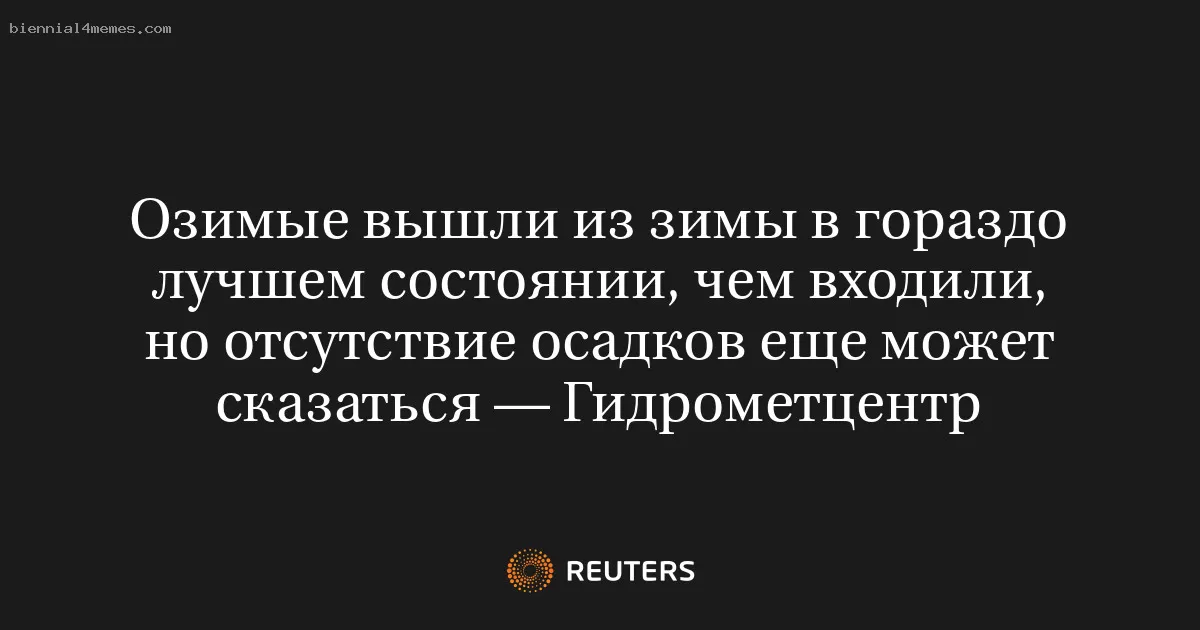 Озимые вышли из зимы в гораздо лучшем состоянии, чем входили, но отсутствие осадков еще может сказаться — Гидрометцентр