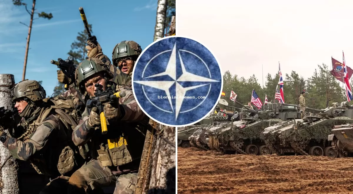 Введение войск НАТО в Украину: Тука раскрыл единственный сценарий