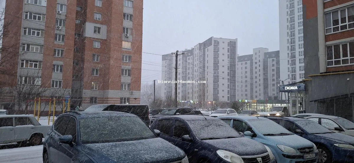 Украину будет засыпать снегом: где будут сильные порывы ветра