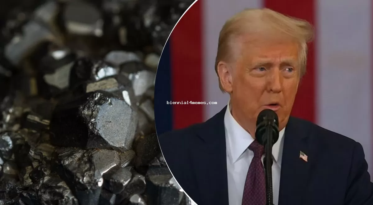"Это было пунктом плана": в ОП удивили заявлением о передаче Трампу редкоземельных металлов