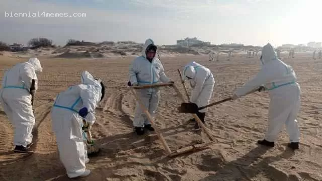 Спрос на летние туры в Анапу рухнул почти в 8 раз из-за мазута на пляжах