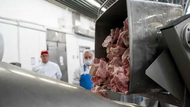 В российской колбасе и сосисках стали массово находить «мясной клей»