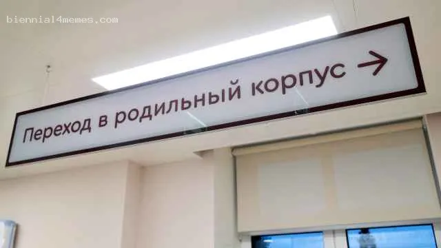 Власти проверили более 3 млн россиян на способность рожать детей