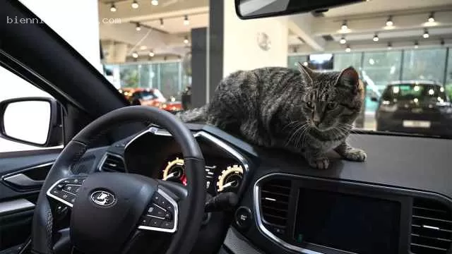 Россияне увеличили покупки автомобилей, несмотря на повышение утильсбора и ставок по кредитам