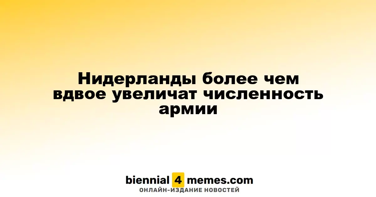 Нидерланды более чем вдвое увеличат численность армии