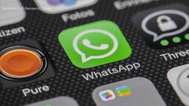В Госдуме допустили блокировку WhatsApp из-за «отсутствия контакта» с силовиками
