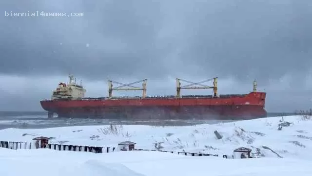 Китайское судно с мазутом село на мель у берегов Сахалина