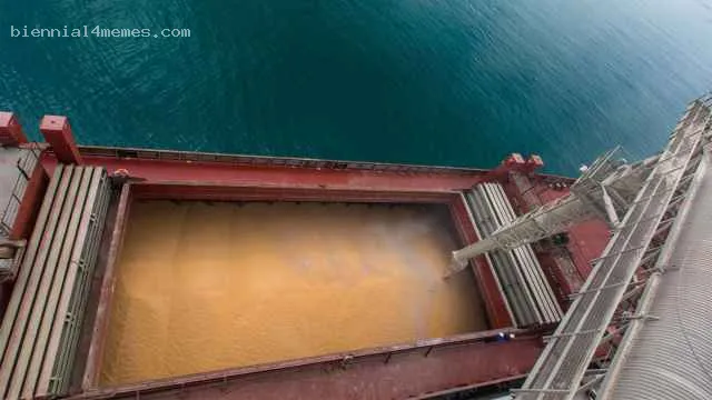 Власти национализировали крупного экспортера зерна из-за второго паспорта у владельца