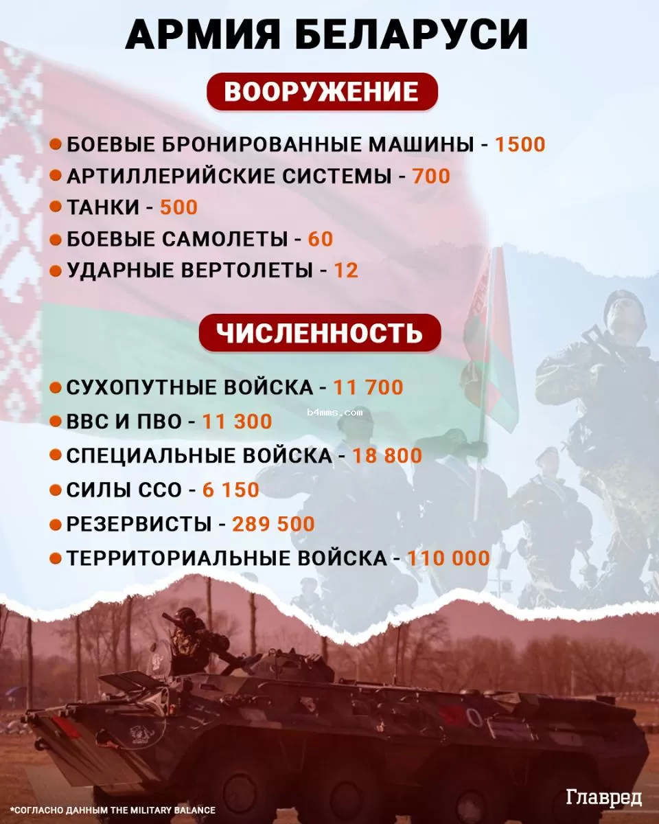 армия Беларуси инфографика