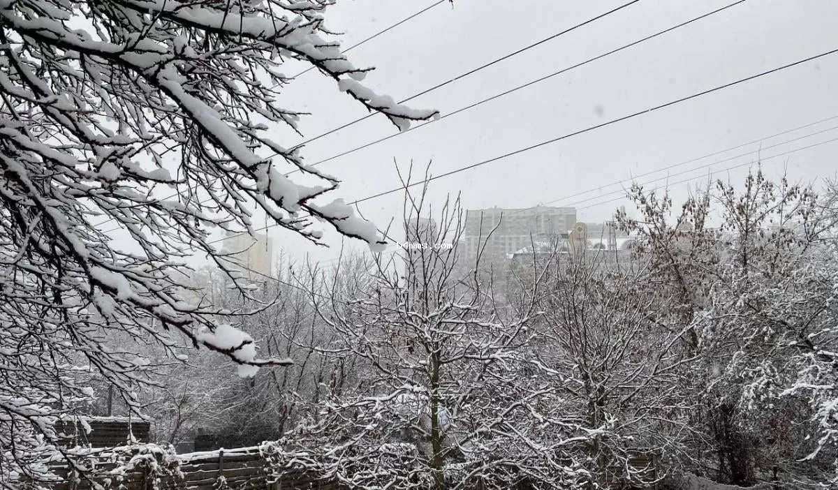 В Украину возвращается снег и мороз: названа дата нового похолодания