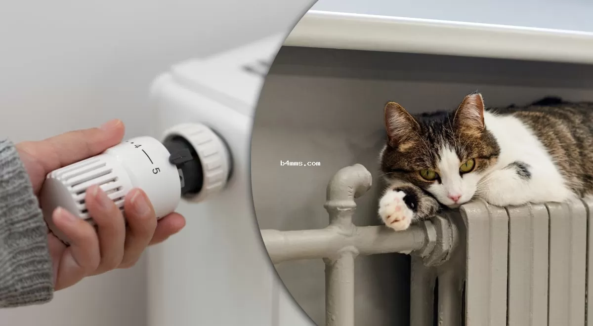 "Нет решения": киевлянам назвали сроки переноса начала отопительного сезона