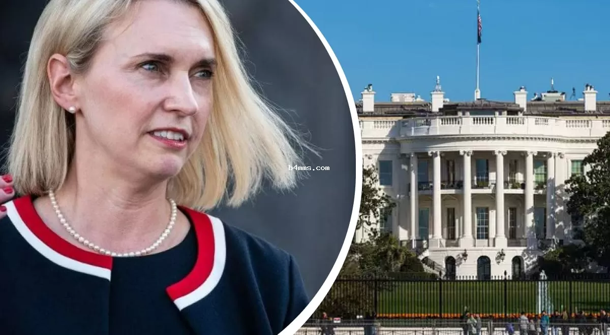 Скандал в дипломатии: посол США в Украине Бриджит Бринк уходит с поста