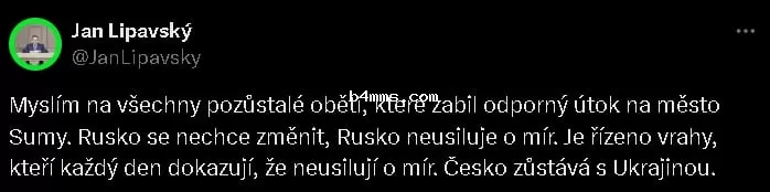 Screenshot Screenshot
