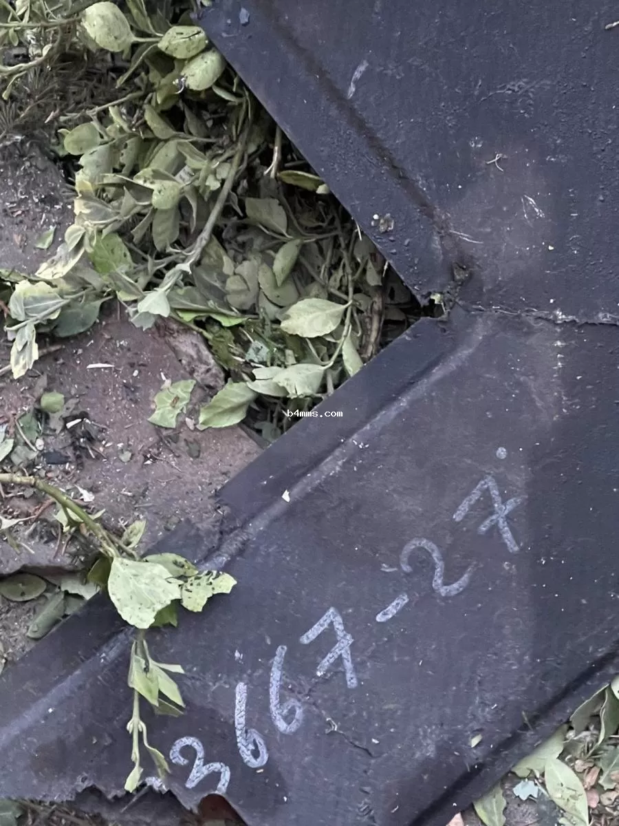 Маргарита Сичкарь показала разрушения своего дома Маргарита Сичкарь показала разрушения своего дома