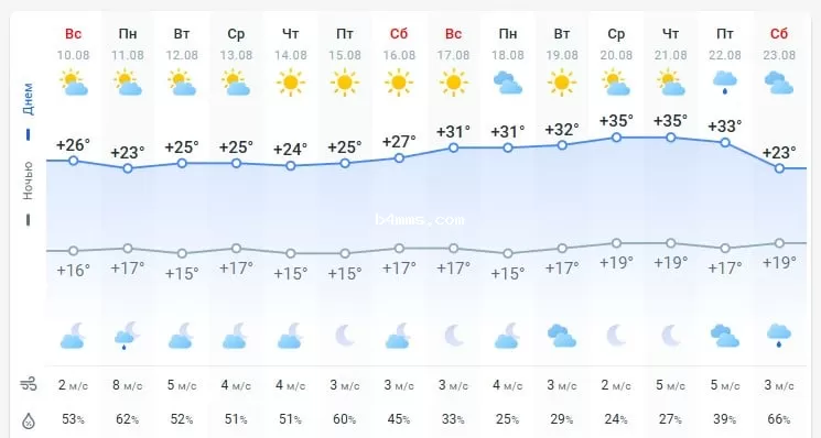 погода 11 августа