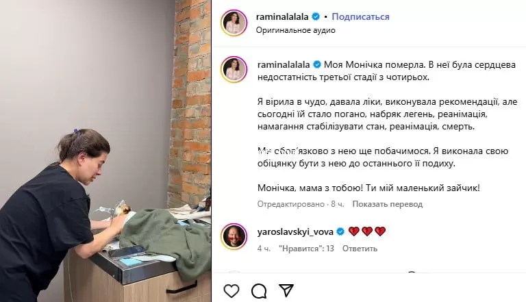 Собака Рамины Эсхакзай не выжила