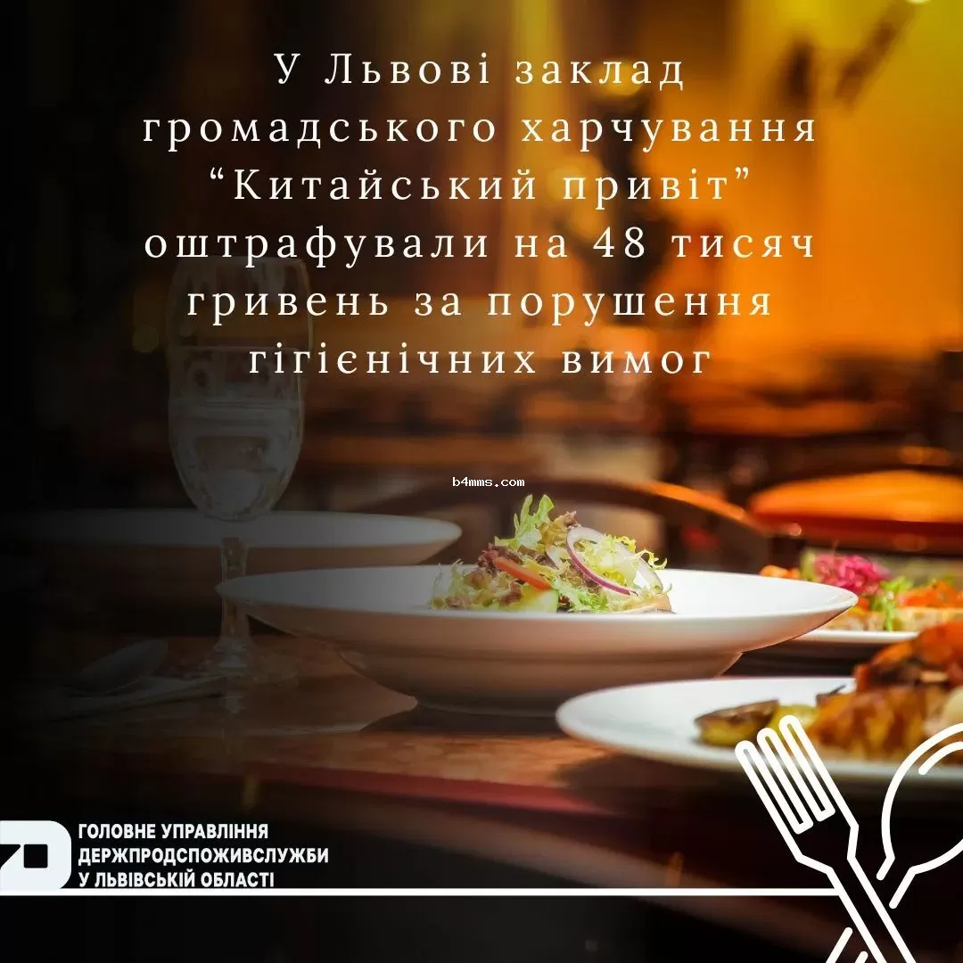 Кацурина оштрафовали