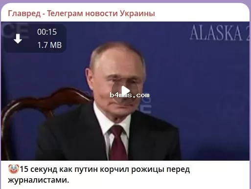 путин (военный преступник) 