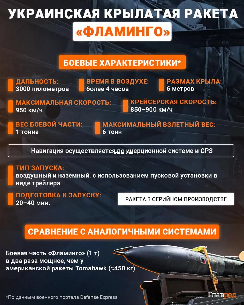 Ракета "Фламинго"