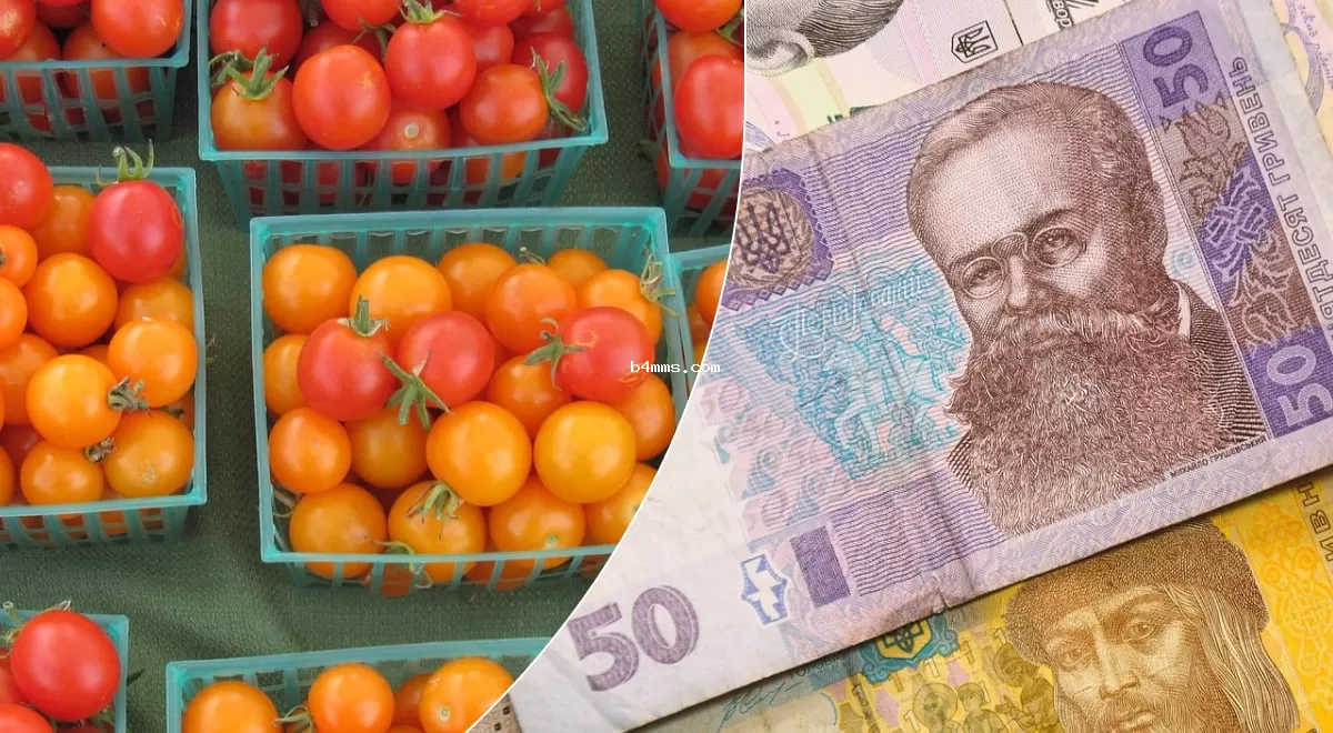 Цена на помидоры в Украине увеличилась на 23%: что теперь станет дороже