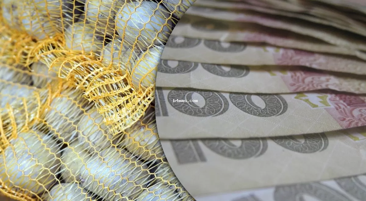 В Украине заметно подорожал картофель: цена достигла нового рекорда