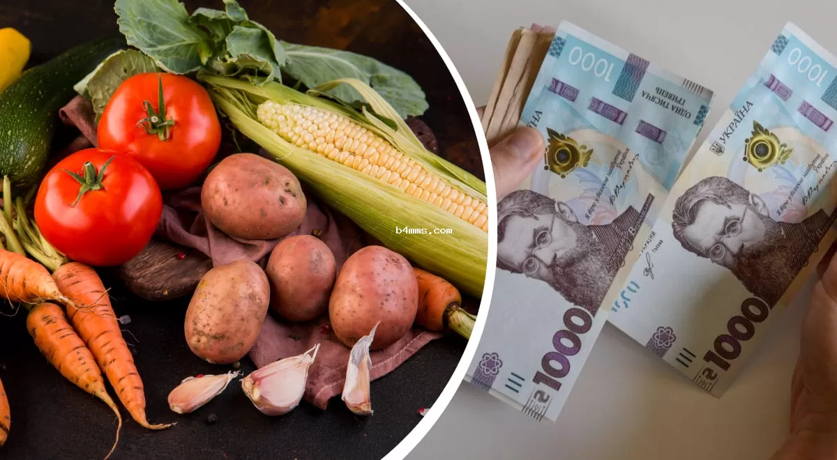 В Украине цена на кукурузу резко падает: как сэкономить, пока не поздно