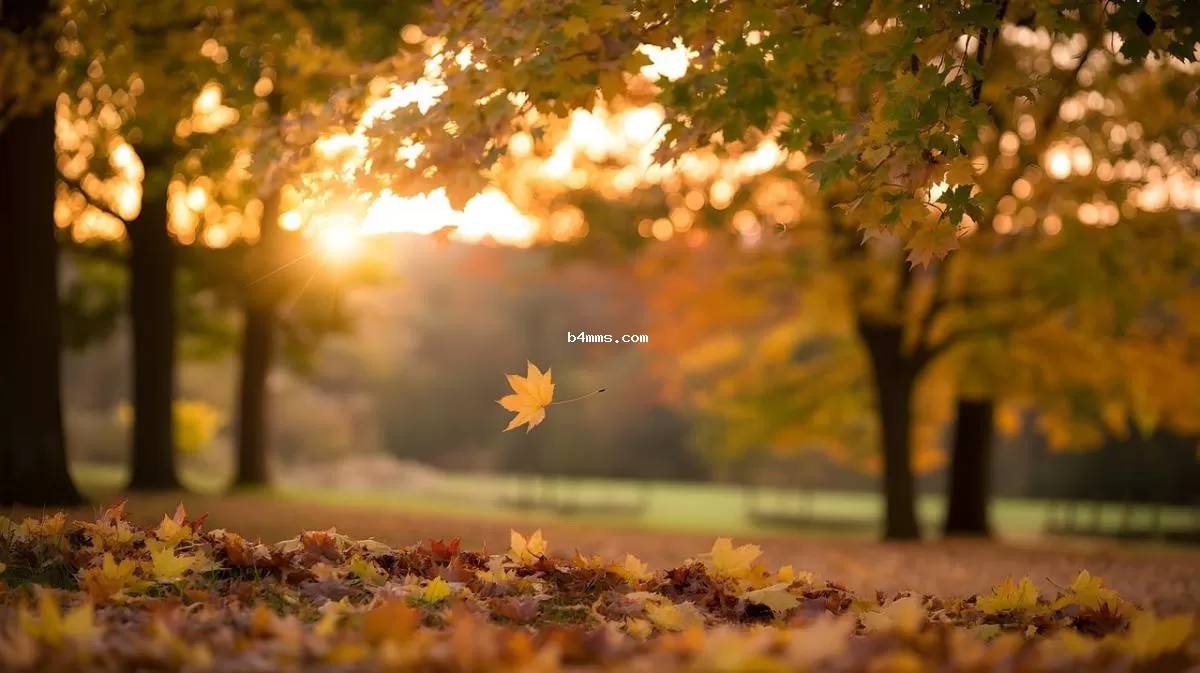 Когда в Украину придет бабье лето: синоптик назвала сроки теплой погоды