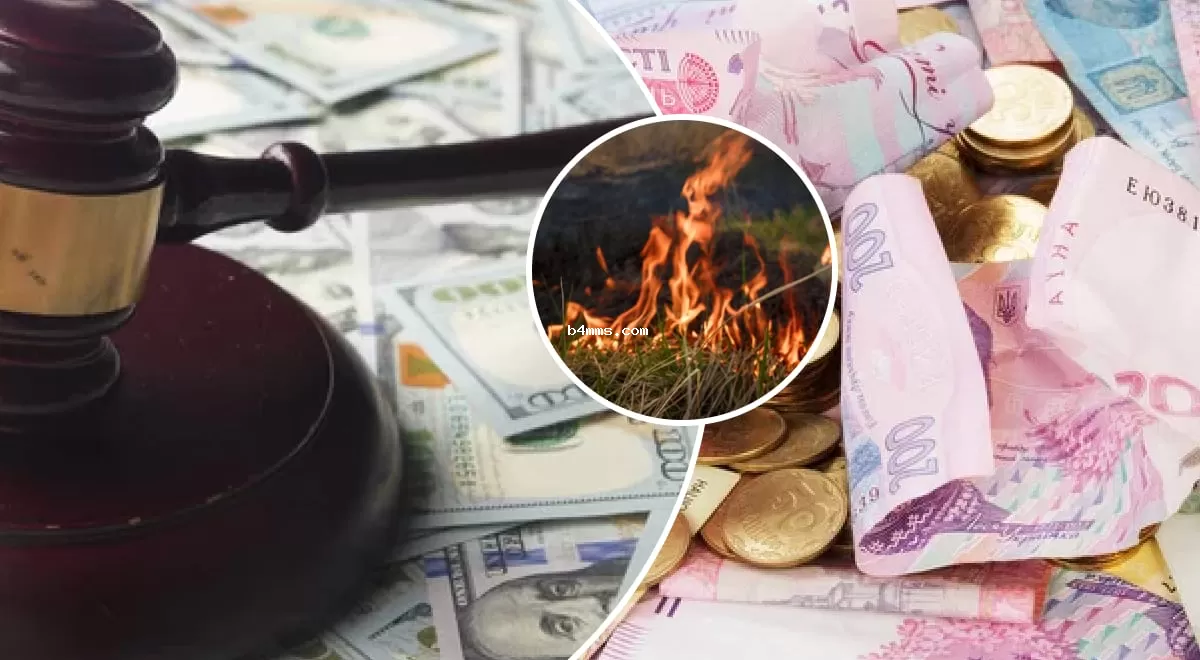 Наказания до 10 лет и штрафы: украинцам начали выписывать штрафы за сжигание растительности