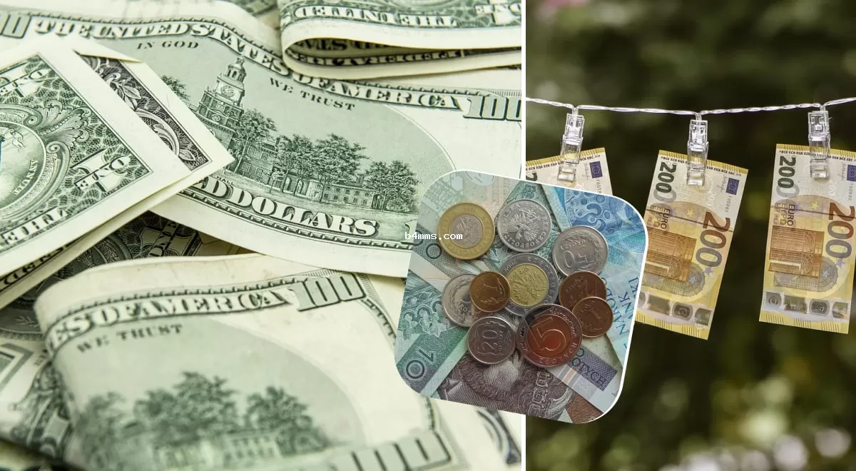 НБУ неожиданно обновил курсы доллара, евро и злотого: какие значения будут 24 сентября