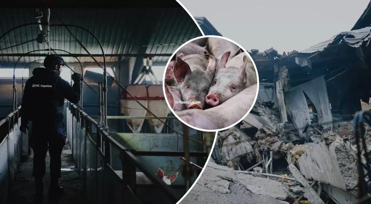 Российский удар вызвал гибель 13 тысяч животных: щемящие детали от ГСЧС