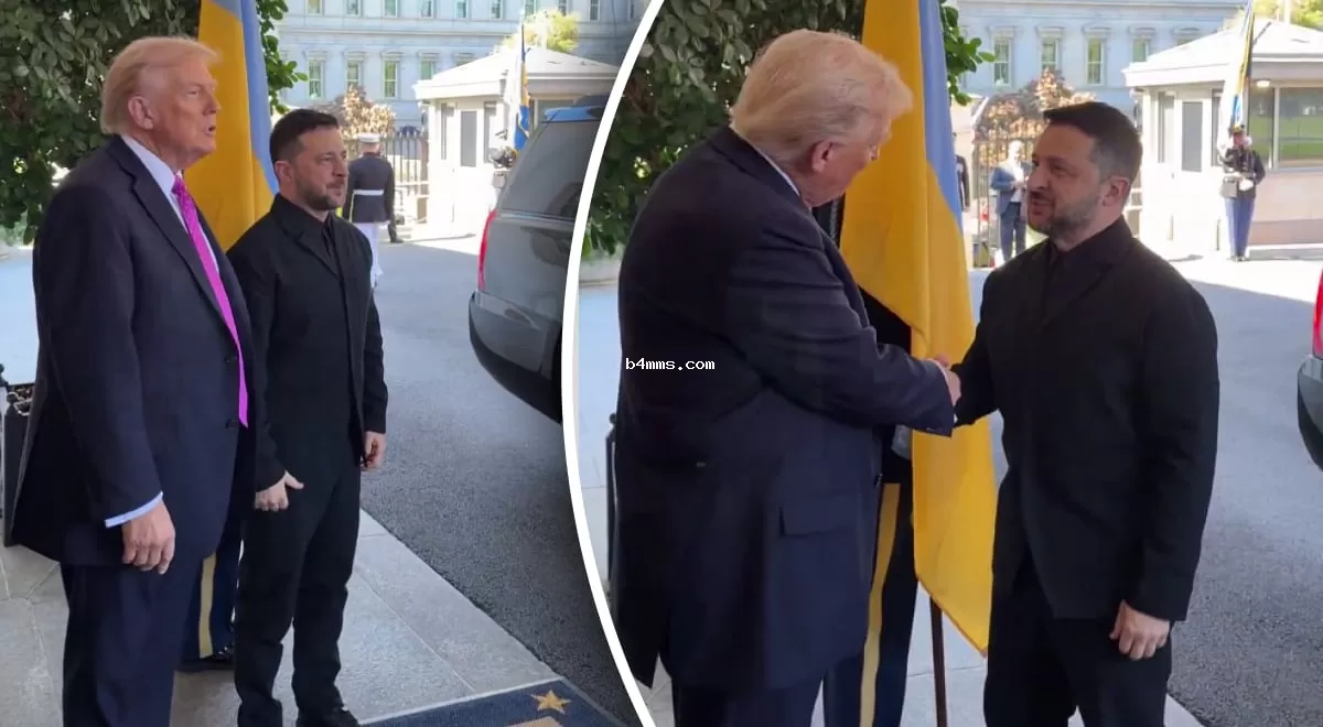 Элегантный наряд: Трамп сделал комплименты Зеленскому