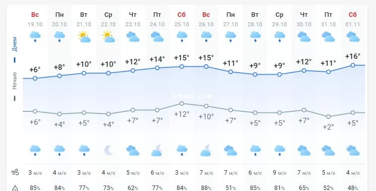 погода 20 октября 