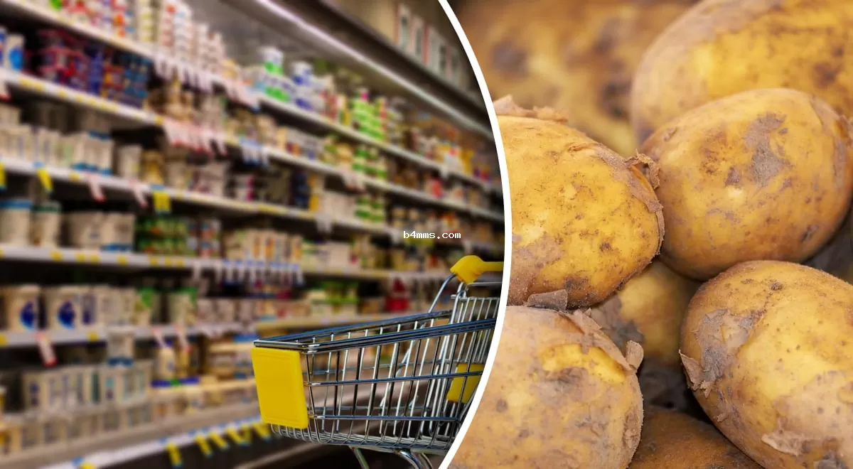 Стоит ли начинать закупки: производители озвучили прогноз цен на картофель